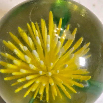 Murano Vintage Three Glass Paperweights - Multi