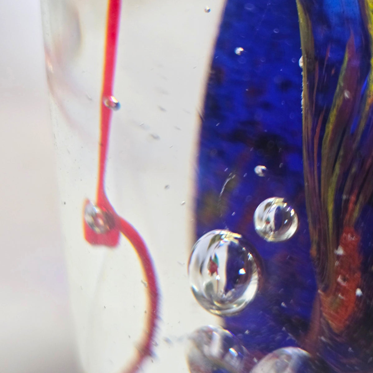 Murano Glass Rounded Aquarium - Multi