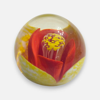 Vintage Glass Three Paperweights - Multi